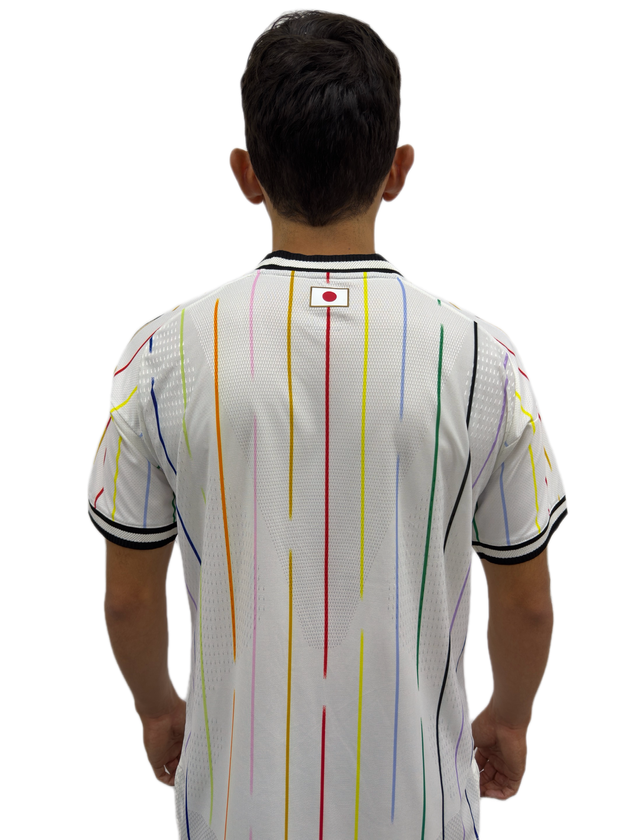 Japón Visita 2026 Versión Jugador